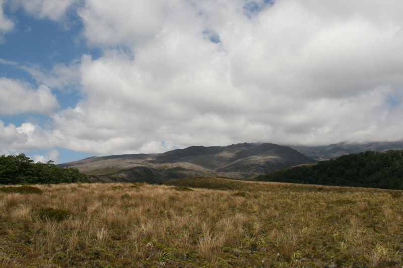 Nieuw-Zeeland 2011 - 0824